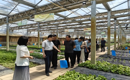 2024年6月27日，中國(guó)綠色食品發(fā)展中心相關(guān)領(lǐng)導(dǎo)蒞臨農(nóng)業(yè)總公司考察調(diào)研_副本.jpg